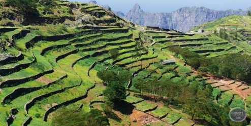 Excursions et sensations	